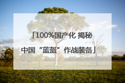 100%国产化 揭秘中国“蓝盔”作战装备
